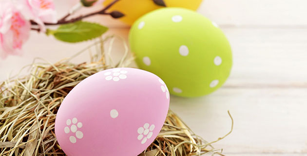 spring into action with ely’s fun Easter egg hunt