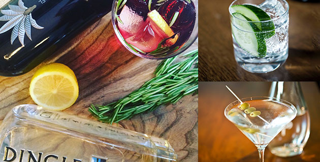 best-cocktail-bar-dublin-ely-b2